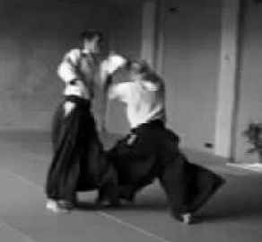 1996_wald_und_aikido_2.jpg