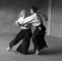 1996_wald_und_aikido_1.jpg